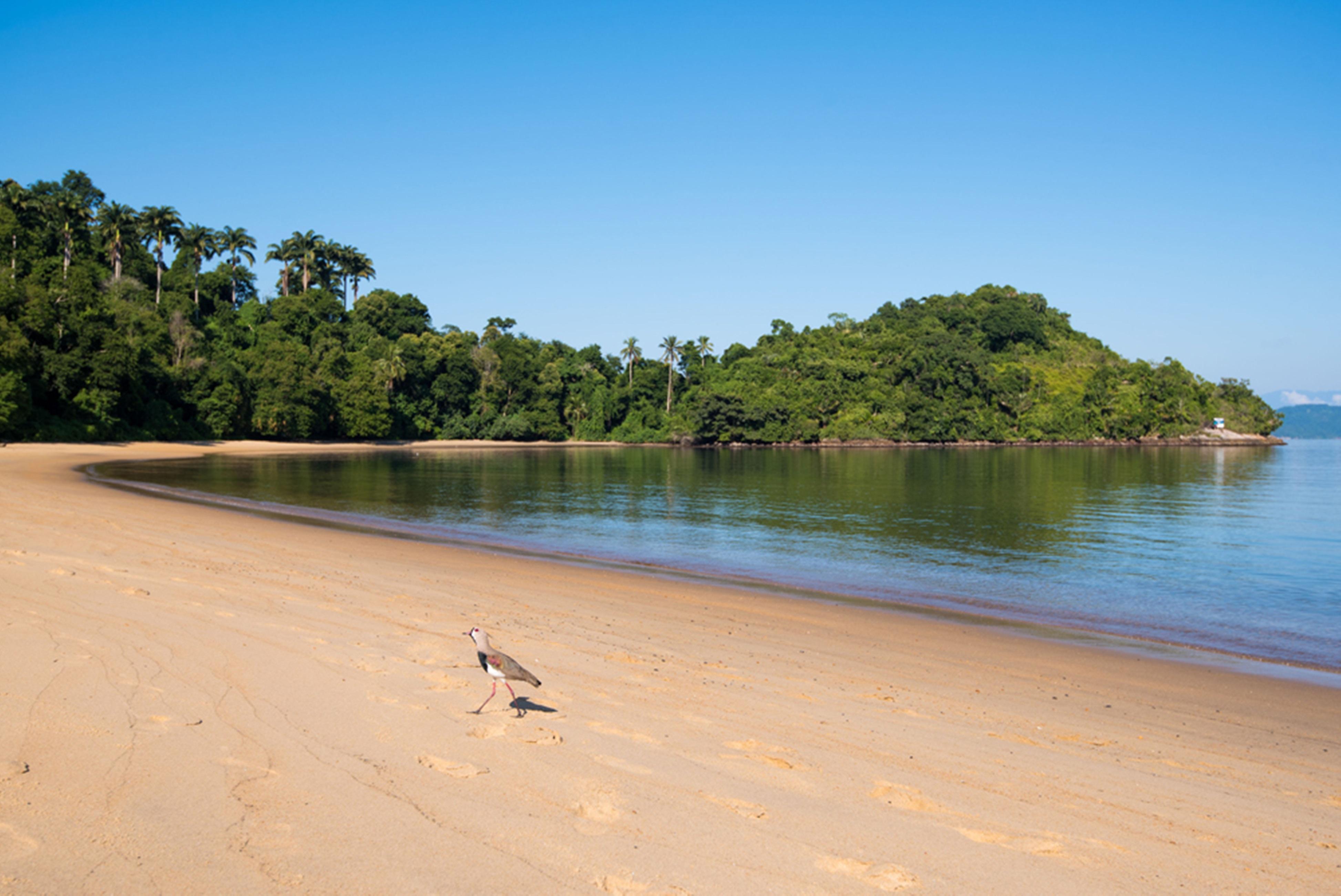 Vila Gale Eco Resort Angra Angra dos Reis Zewnętrze zdjęcie Beach at the park